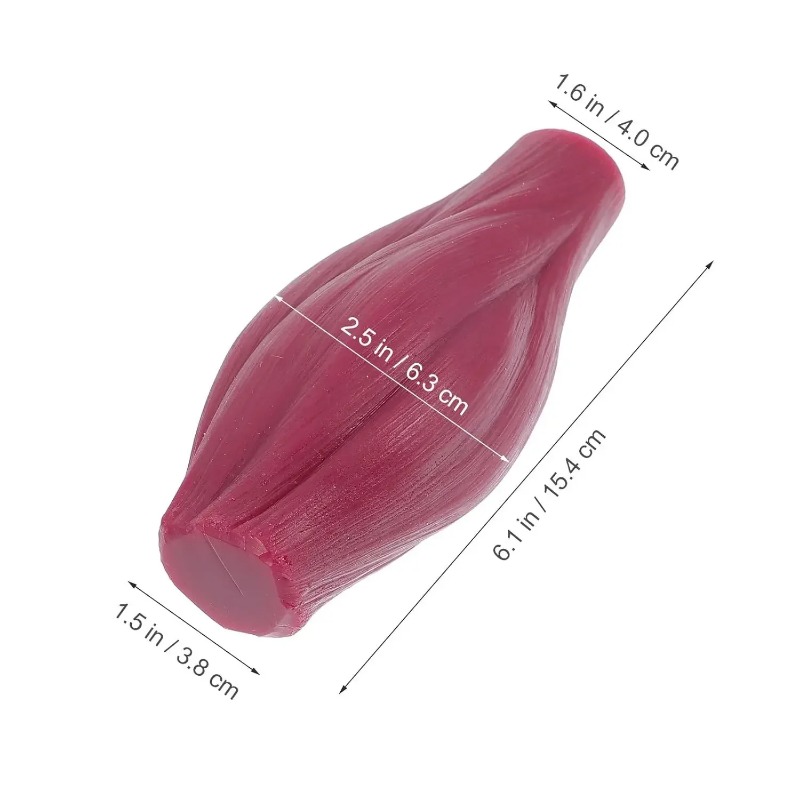 Modelo de 1 libra de músculo e - Nutrition Of Fitness avaliação e preço