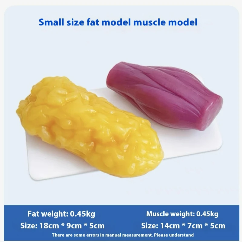 Réplicas de Músculos e Gordura - Nutrition Of Fitness avaliação e preço